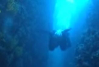 Deepsea - potápění v Chorvatsku